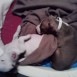 yakira y zoe